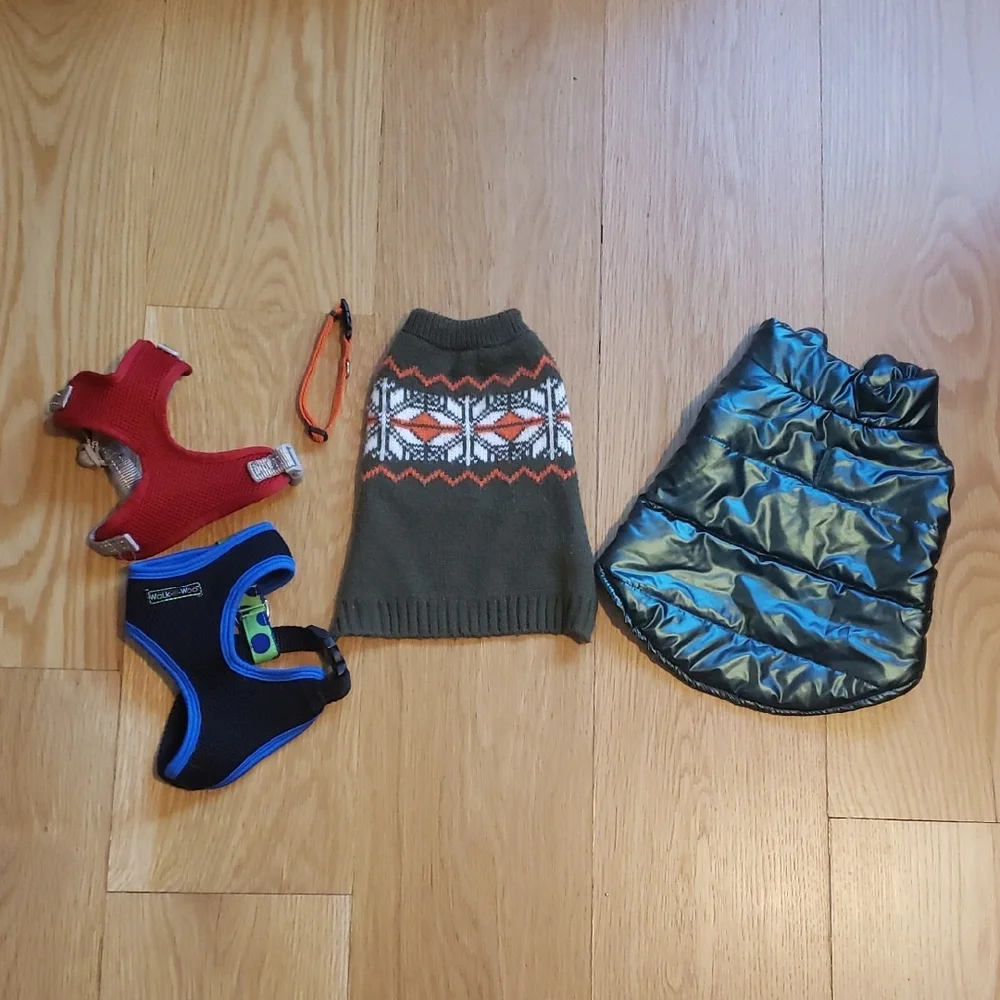 Set of Dog Sweaters and Harnesses